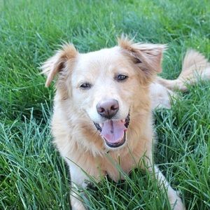 Meet your Posher, Theresa